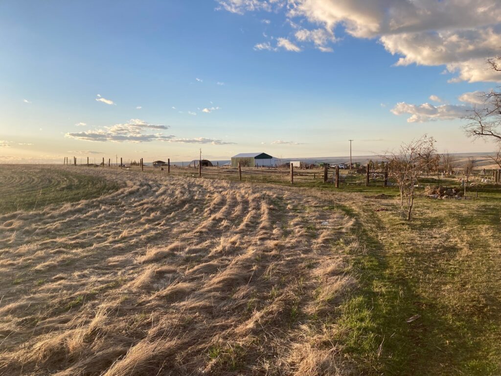 Eastern Oregon has it's own beauty