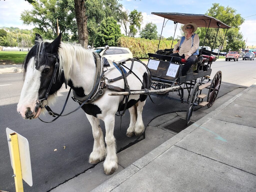 Pendleton Main Street during Round Up Week